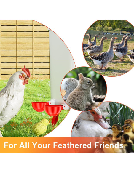 Tazas de Agua Automáticas para Pollos ZenxyHoC - Paquete de 10