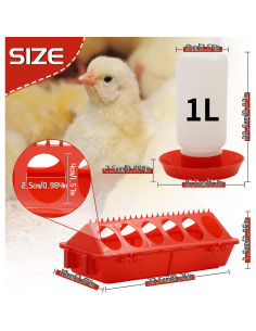 Kit Alimentador y Bebedero para Pollitos Abustle Pig 1L 2