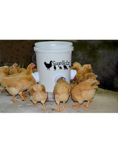 Kit Alimentador de Pollos Suplklz 4 Puertos A Prueba de Lluvia