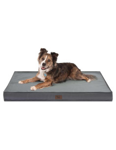 Cama ortopédica para perros grandes Tail Stories 91x68cm gris