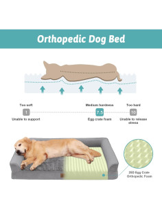 Cama Ortopédica para Perros Grandes COZY KISS 106x76x19 cm Gris 2