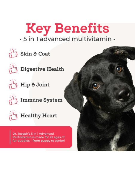 Suplemento Multivitamínico VetPro para Perros Pequeños 60 Unidades