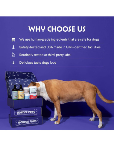 Suplemento Cardo Mariano para Perros Wonder Paws 56.7 g