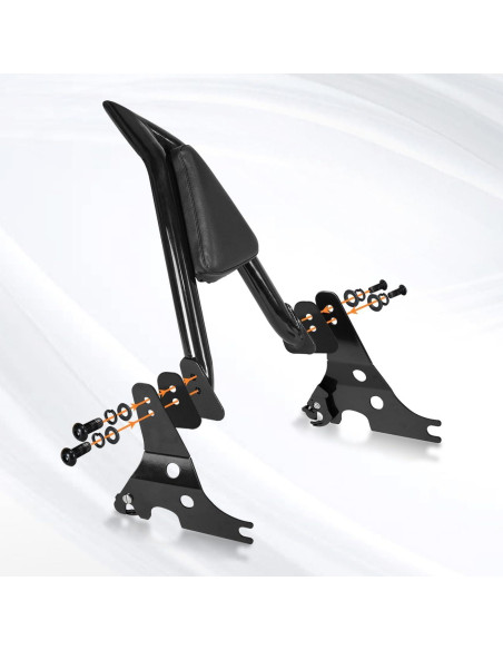 AUFER Sissy Bar Desmontable para Pasajeros Sportster 2004-2023