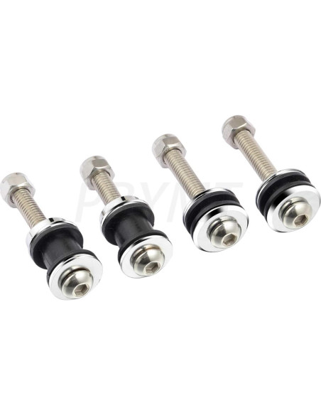 Kit de Hardware de Acoplamiento Sissy Bar PBYMT 2004-2024