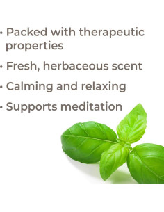 Aceite Esencial de Albahaca Linalool Orgánico 10 mL Plant Therapy 2