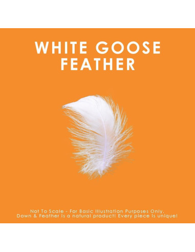 Edredón de plumas de ganso blanco Canadian Down King 2109 g