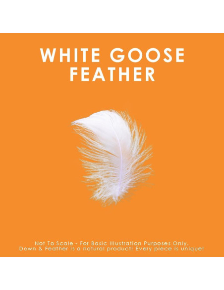 Edredón de plumas de ganso blanco Canadian Down King 2109 g