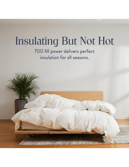 Edredón de Plumas Brooklinen King 700 Relleno Blanco