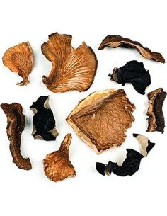 Champiñones Porcini Secos Premium Roland Foods 40g 2