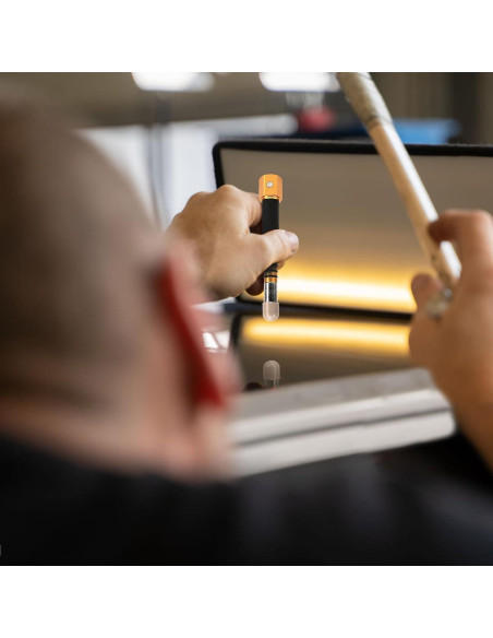 Juego de 4 Herramientas de Eliminación de Abolladuras BuleVina