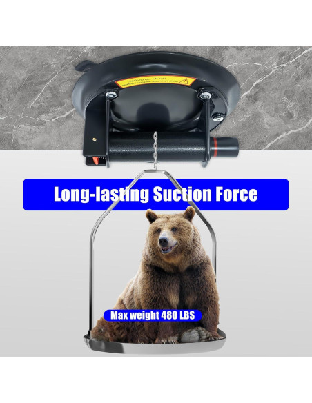 Paquete de 2 Ventosas de Vidrio BaoNeedy 20 cm Alta Resistencia