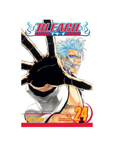 Bleach, Vol. 24