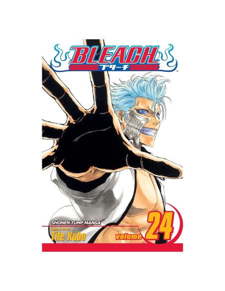 Bleach, Vol. 24