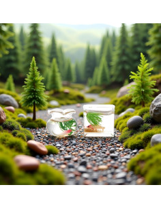 Set 2 Acuarios Miniatura de Vidrio Labriciyon 1:12 para Decoración 2