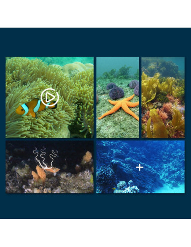 Barco RC WiFi Impermeable SHANTOU 777-273 con Cámara HD