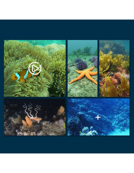 Barco RC WiFi Impermeable SHANTOU 777-273 con Cámara HD