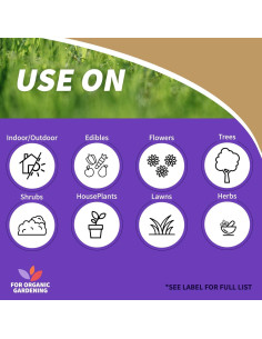 Aceite de Neem Concentrado Bonide 226.8 ml Insecticida 4 en 1 2