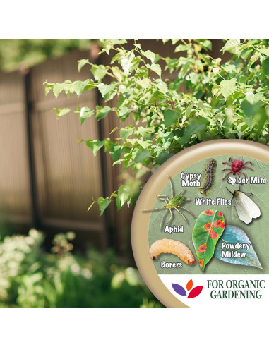 Aceite de Neem Concentrado Bonide 226.8 ml Insecticida 4 en 1