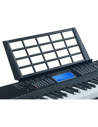 Teclado Eléctrico 61 Teclas Technical Pro PIA6100 con Asiento y Micrófono