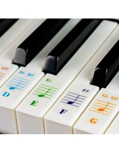 Teclado Eléctrico 61 Teclas Technical Pro PIA6100 con Asiento y Micrófono