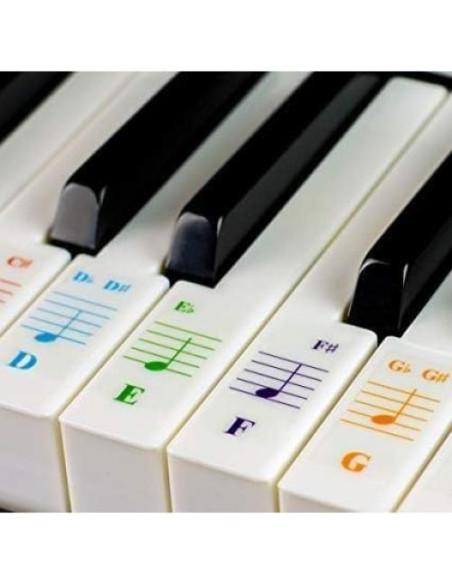 Teclado Eléctrico 61 Teclas Technical Pro PIA6100 con Asiento y Micrófono