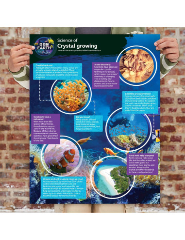 Acuario de Cristales BBC Earth 20.96x12.7 cm Kit STEM