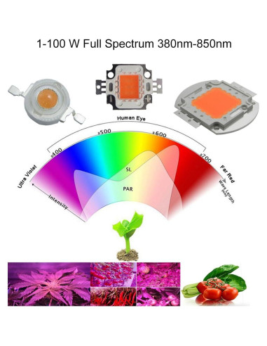 Chip LED de Alta Potencia 100W Chanzon Espectro Completo