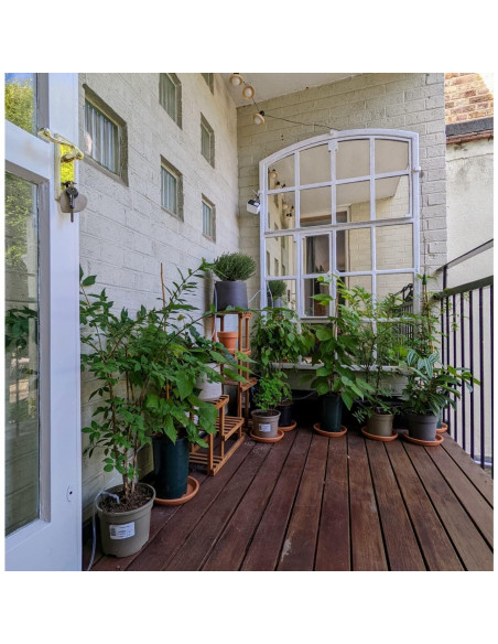 Kit de Riego Solar Automático Lewisia 10W para 50 Plantas