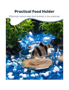 Plato de Alimentación Pawfly de Vidrio para Camarones 7.5cm 2