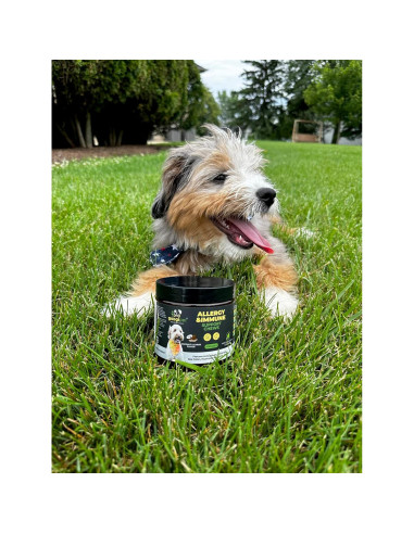 Golosinas para Alergia de Perro Googipet - Alivio Natural 330g