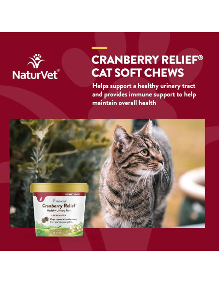 NaturVet Suplemento Gato Alivio de Arándano 60 Masticables