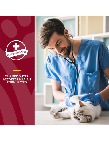 NaturVet Suplemento Gato Alivio de Arándano 60 Masticables