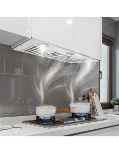 Campana de Inserción VEVOR 30" Acero Inoxidable 800 CFM 2