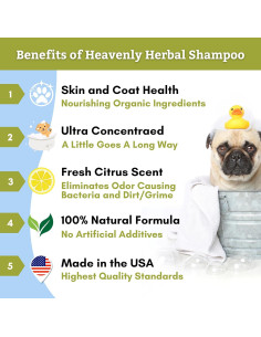 Champú Concentrado Orgánico Wholistic para Perros y Gatos 56g 2