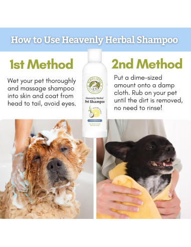 Champú Concentrado Orgánico Wholistic para Perros y Gatos 56g