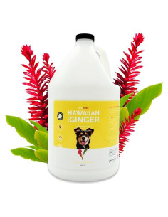 Champú para Perros Bark2Basics Jengibre Hawaiano 3.9 kg - Natural