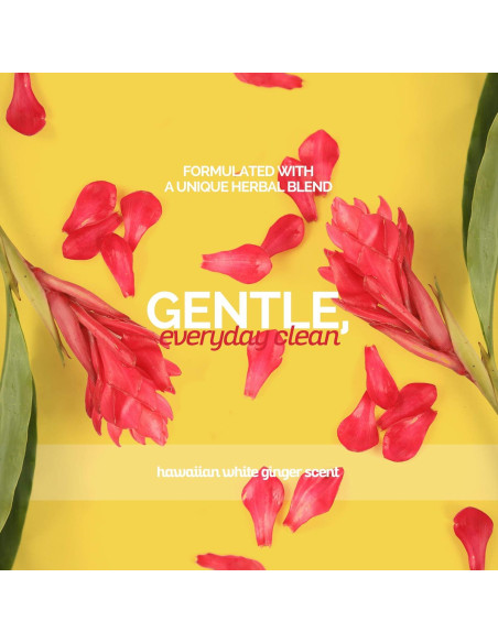 Champú para Perros Bark2Basics Jengibre Hawaiano 3.9 kg - Natural