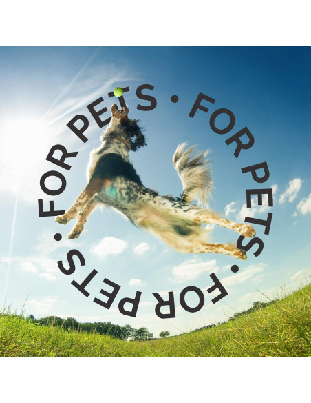 Champú para Perros Bark2Basics Jengibre Hawaiano 3.9 kg - Natural