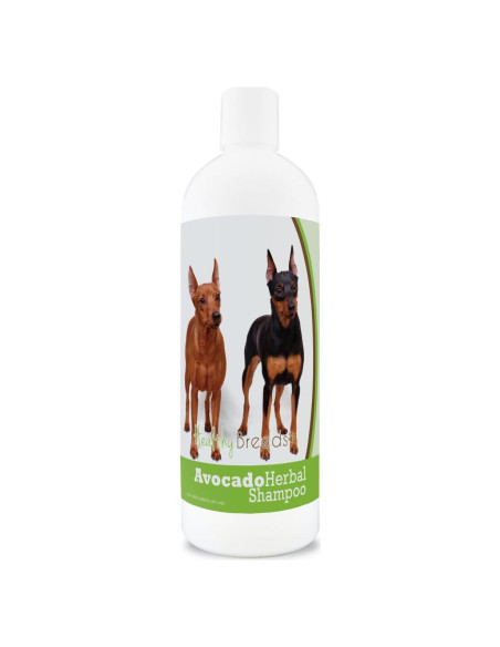 Champú Herbal de Aguacate Healthy Breeds 473 ml para Perros Miniatura