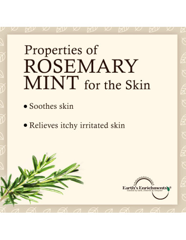 Exfoliante Corporal Orgánico Vegano Earth's Enrichments 226.8g Menta Romero