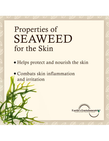 Exfoliante Corporal Orgánico Vegano Earth's Enrichments 226.8g Menta Romero