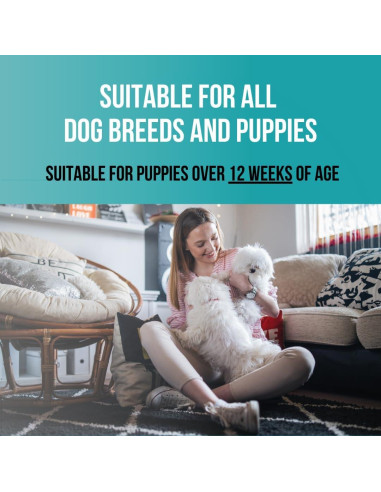 Champú para Cachorros PET CARE Sciences 1 Galón Sin Lloros