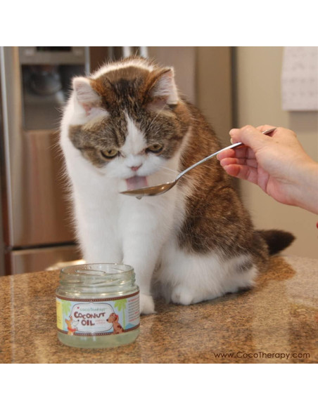 Aceite de Coco Virgen Orgánico CocoTherapy 227g para Perros