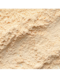 Polvo Suelto Matificante Palladio 39.87g - Plátano 2