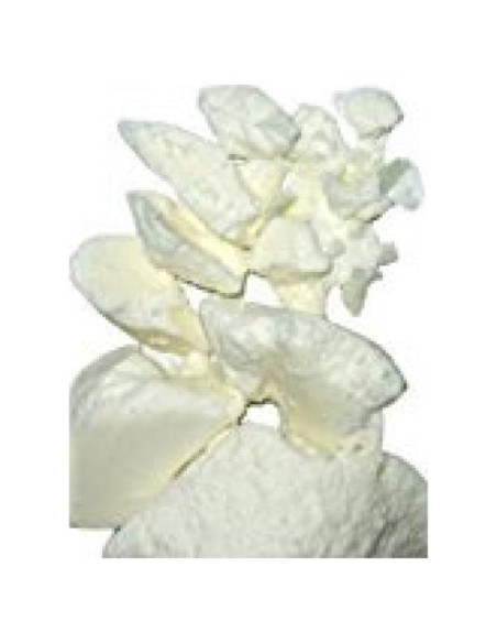 Manteca de Mango Cruda Yellow Brick Road 480g