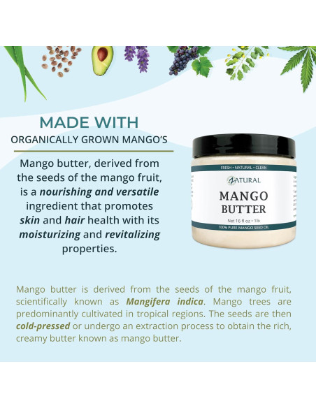 Mantequilla de Mango Zatural 100% Pura Prensada en Frío 480g