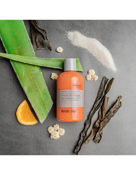 Exfoliante Facial Anthony 236.6 ml - Limpiador para Hombres con Vitamina C y Aloe
