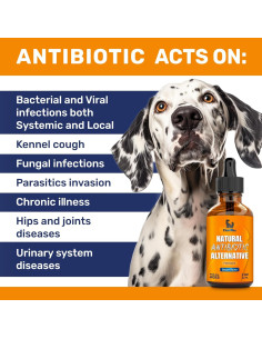 Antibiótico Natural para Perros Clear Max 56.7 g - Sabor Tocino 2