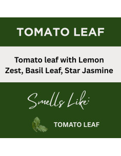 Loción Corporal Aromatizada Hoja de Tomate 340 g Golden Goat 2